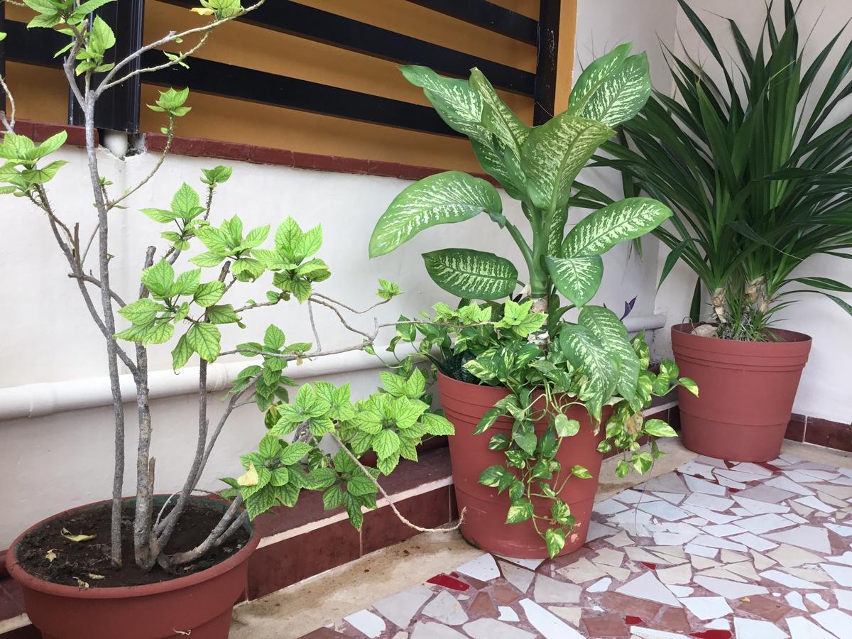 Hotel Pension San Juan Playa del Carmen Kültér fotó